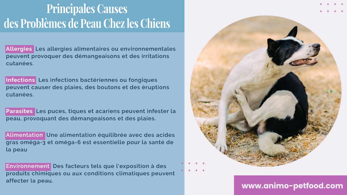 causes-des-problemes-de-peau-chez-les-chiens